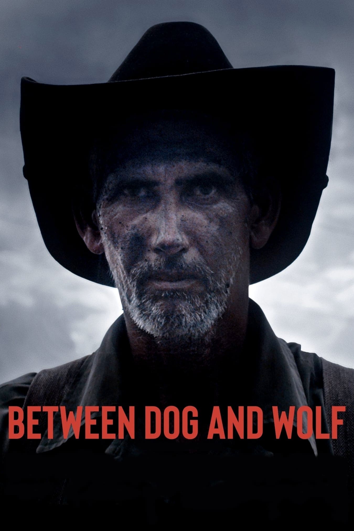 Between Dog and Wolf (Entre perro y lobo)