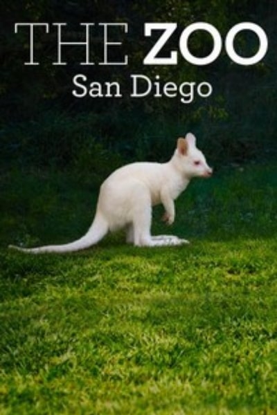 The Zoo: San Diego - Season 2