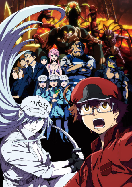 Hataraku Saibou Black [Audio: Eng]