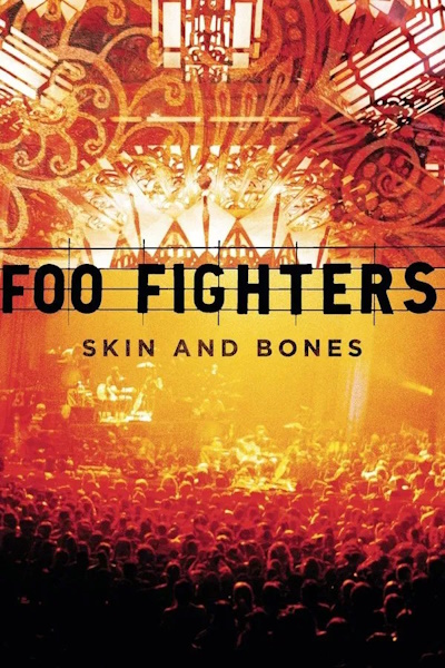 Foo Fighters Skin and Bones