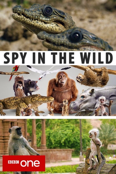 Spy in the Wild - Season 2