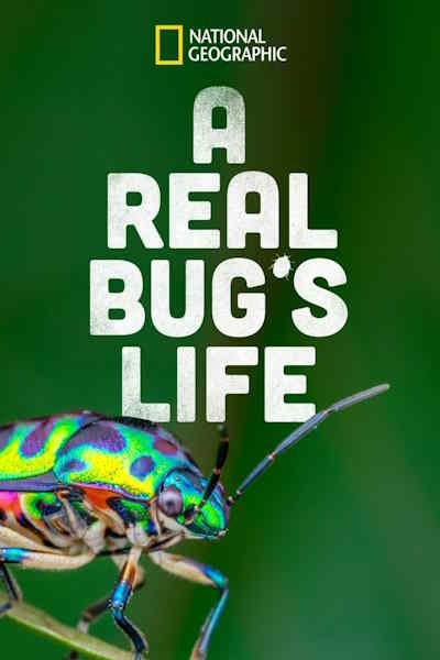 A Real Bugs Life - Season 1
