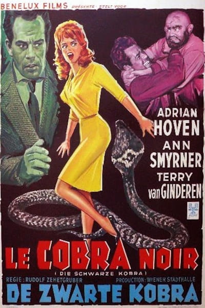 The Black Cobra (Die schwarze Kobra)