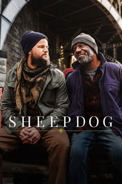 Sheepdog